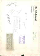 Animal: Serval - Vintage Photograph