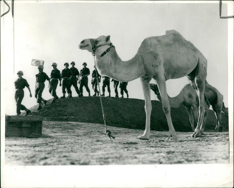 Egypt: Suez Canal Troubles. - Vintage Photograph