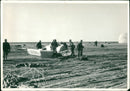Egypt: Suez Canal Troubles. - Vintage Photograph
