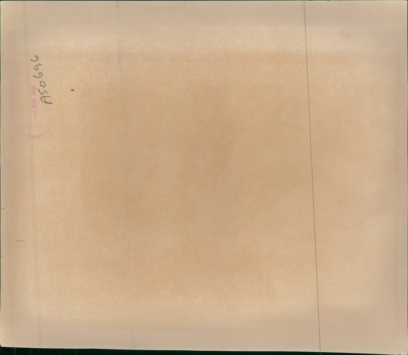 Stevie Wonder American singer-songwriter. - Vintage Photograph