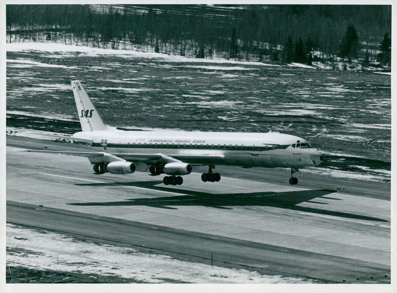SAS Douglas DC-8 - Vintage Photograph