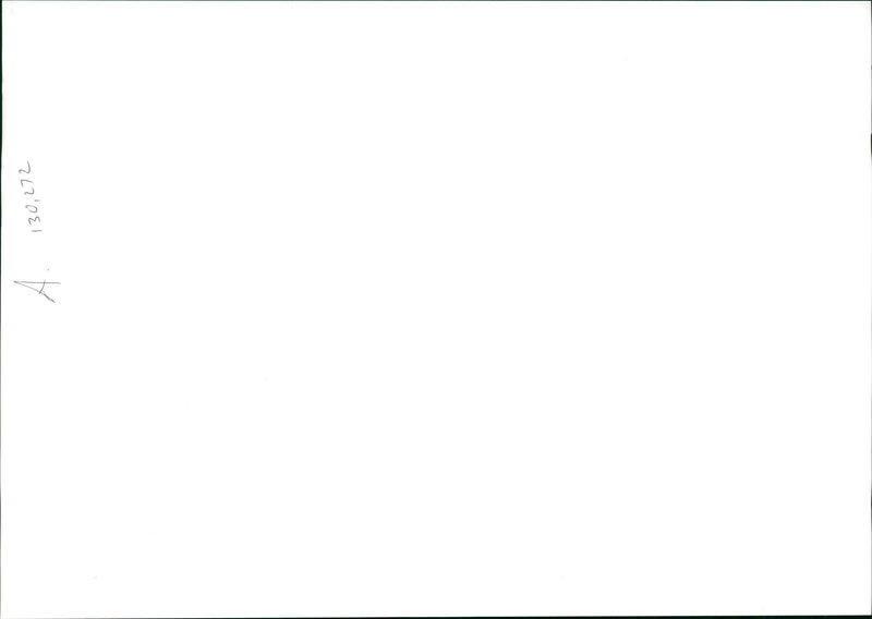 Whitney Elizabeth Houston - Vintage Photograph