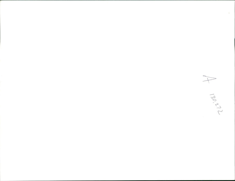 Whitney Elizabeth Houston - Vintage Photograph