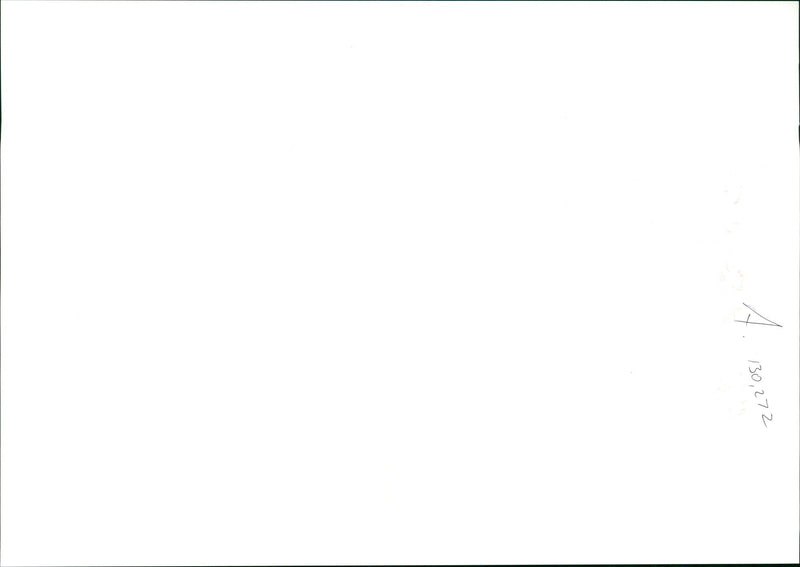 Whitney Elizabeth Houston - Vintage Photograph