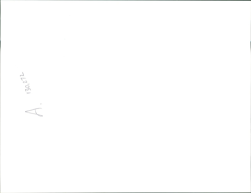 Whitney Elizabeth Houston - Vintage Photograph