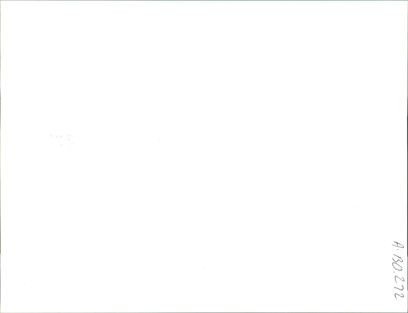 Whitney Elizabeth Houston - Vintage Photograph