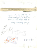 Cows grazing as contentedly in the Kuwaiti desert. - Vintage Photograph