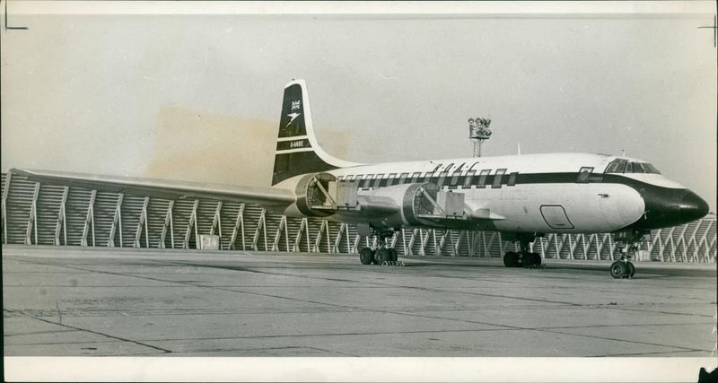 Aircraft Bristol Britanna 102 - Vintage Photograph