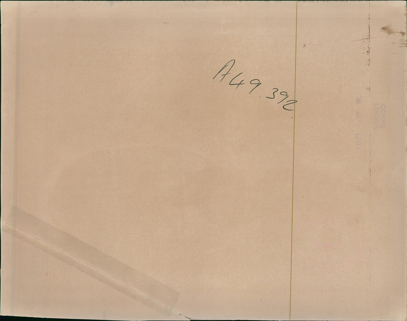 Musical Instruments - Vintage Photograph