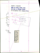 Musical Instruments: Stephen Barber's Lute - Vintage Photograph