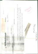 Musical Instruments: Susana Parkins - Vintage Photograph