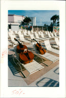 Musical Instruments - Vintage Photograph