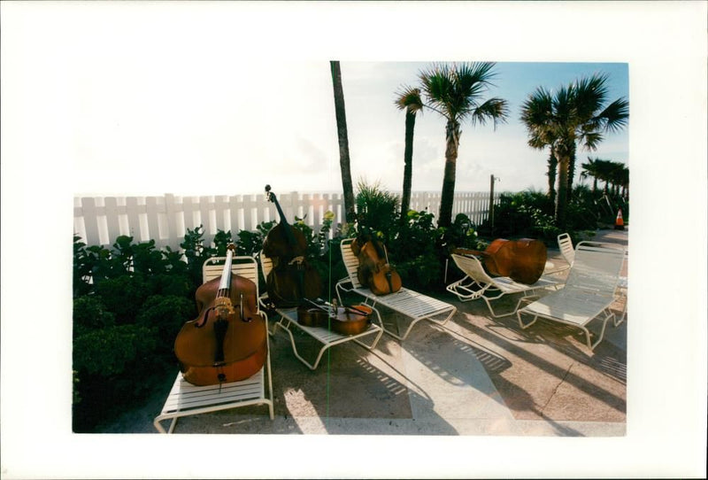 Musical Instruments - Vintage Photograph