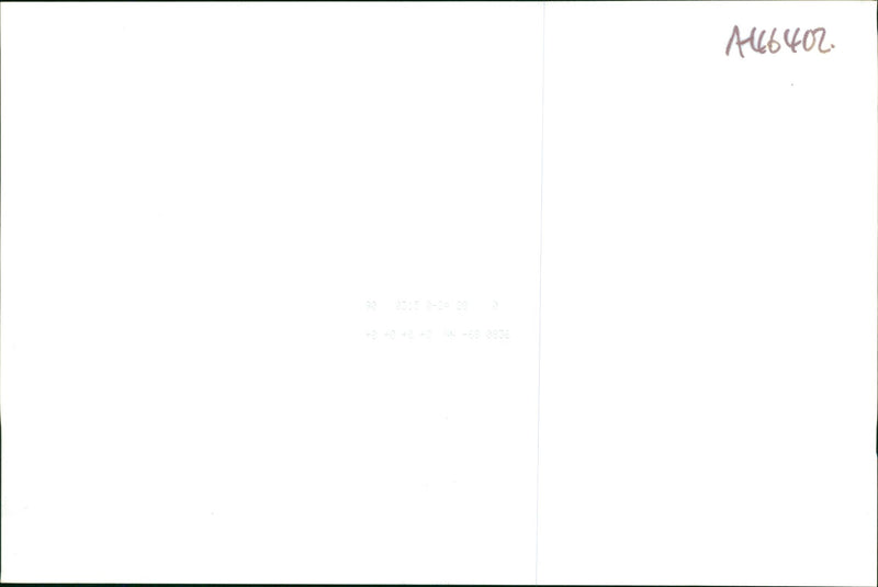 Blakeney National Nature Reserve - Seal Colony - Vintage Photograph