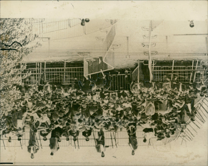 A military veteran - Vintage Photograph