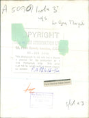 Field Marshal Habis al-Majali - Vintage Photograph