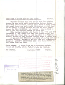 The Chinese crested dog - Vintage Photograph