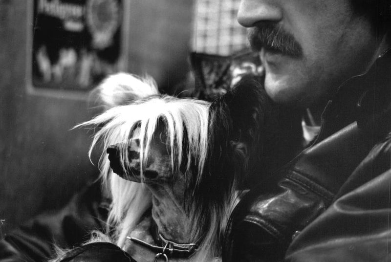 The Chinese crested dog - Vintage Photograph