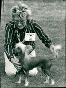 The Chinese crested dog - Vintage Photograph