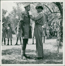Bernard Montgomery - Vintage Photograph