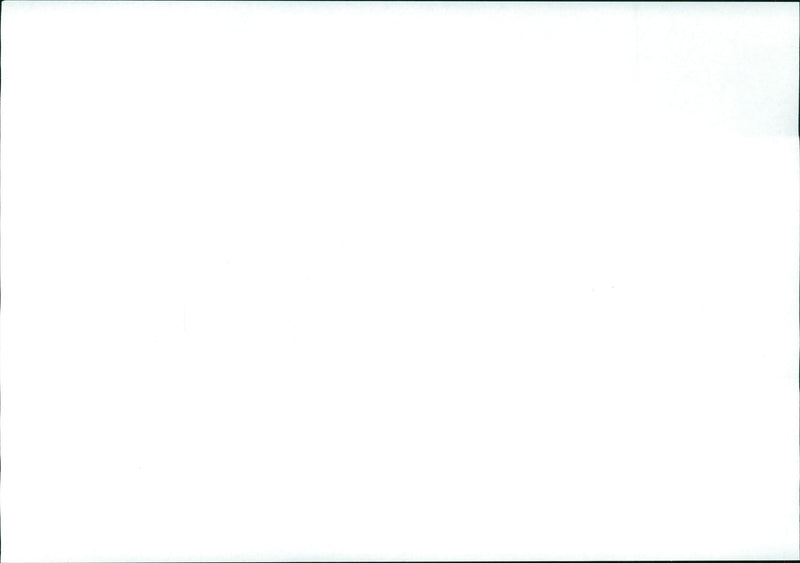 Bernard Montgomery - Vintage Photograph