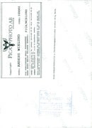 SWEDEN ANIMALS IMAGE DELIVERY KODA ANDERS PRESS - Vintage Photograph