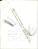 Kathleen Duchess of Rutland - Vintage Photograph