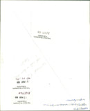 Rod Stewart - Vintage Photograph