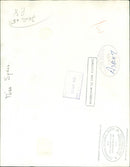 Manuela Sykes. - Vintage Photograph