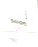 Animal antics marilu marini and facundu. - Vintage Photograph