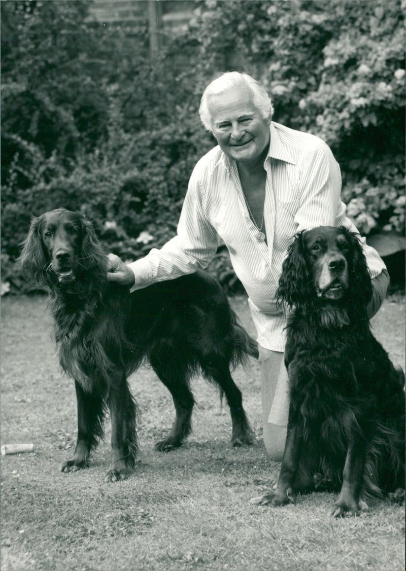 British actor Derek Bond aged 64 with his two dogs - Vintage Photograph