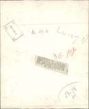 "Cheetah" by E. Kirkland, and "The large blue Butterfly. - Vintage Photograph