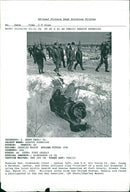 USA army general. - Vintage Photograph