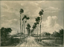 The Avenue at Middelharnis by Hobbema - Vintage Photograph