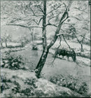 Montfoucault Under Snow. - Vintage Photograph