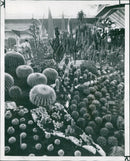 Palais de la Defense - Vintage Photograph