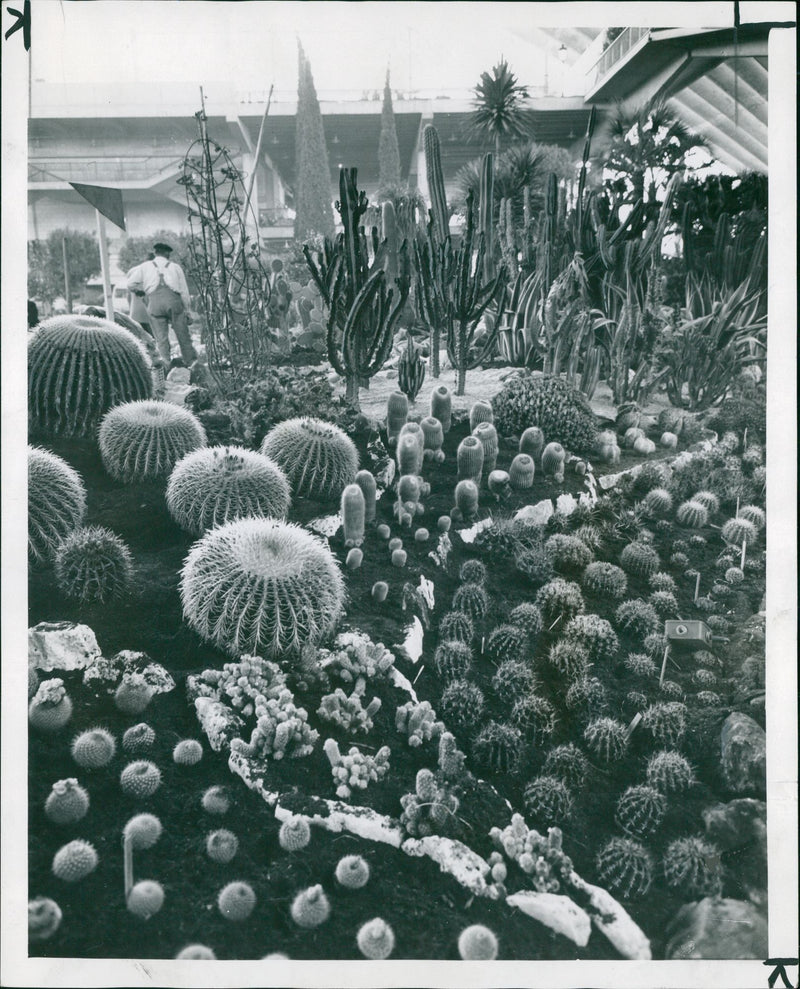 Palais de la Defense - Vintage Photograph