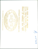 Wife of Duke of St Albans - Vintage Photograph