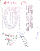 Wife of Duke of St Albans - Vintage Photograph