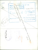 Wife of Duke of St Albans - Vintage Photograph