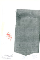 Dave Burges, D Day royal bereshire. - Vintage Photograph