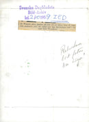 Sir Winston Churchill - Vintage Photograph