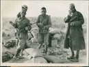 German War Africa. - Vintage Photograph