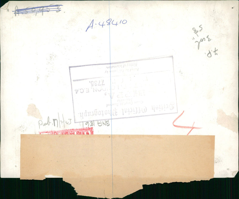 German War Africa. - Vintage Photograph