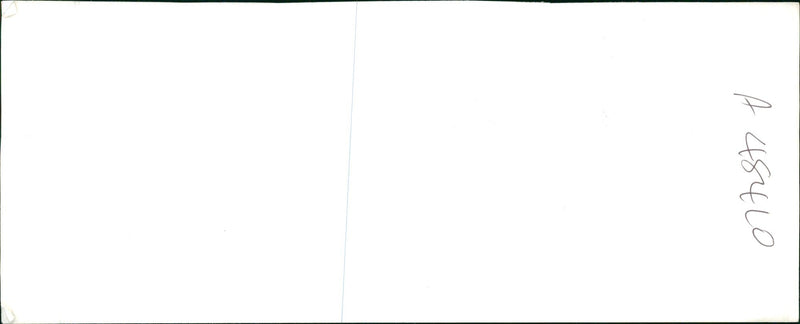 German War Africa. - Vintage Photograph