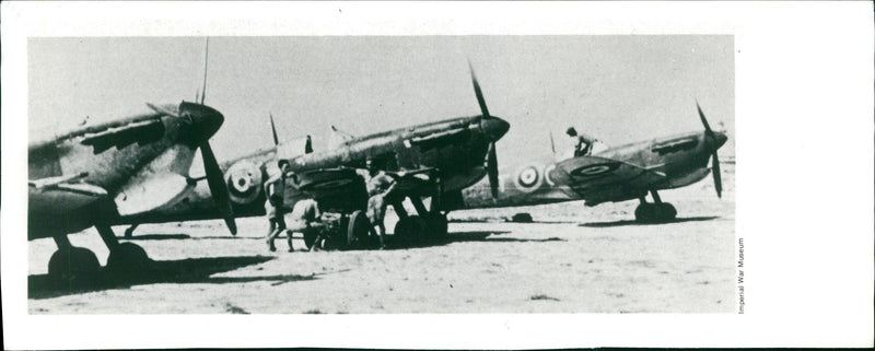 German War Africa. - Vintage Photograph