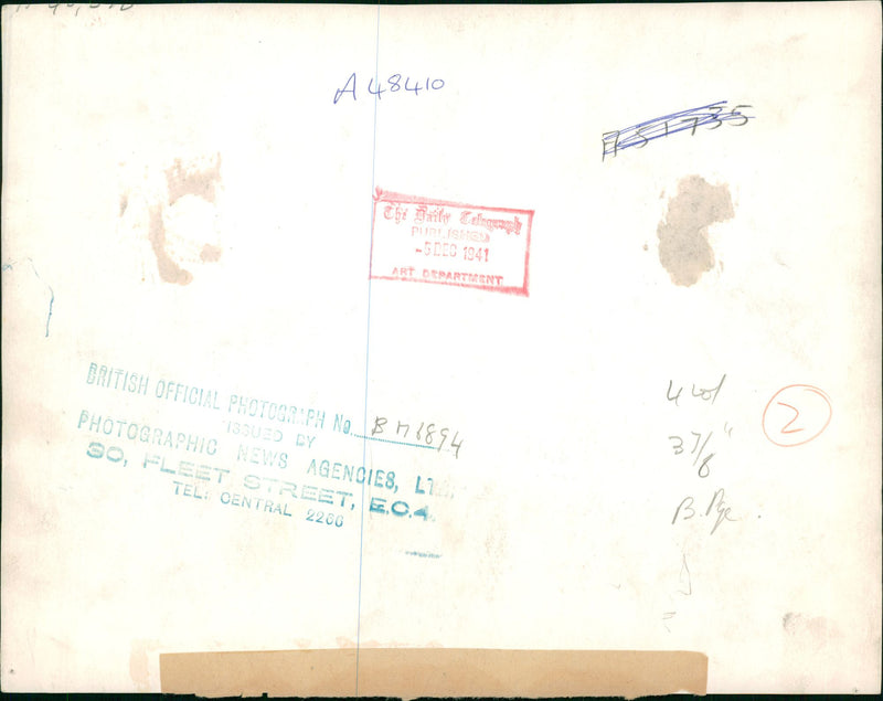 German War Africa. - Vintage Photograph