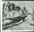 Exhausted Axis Prisoners - Vintage Photograph