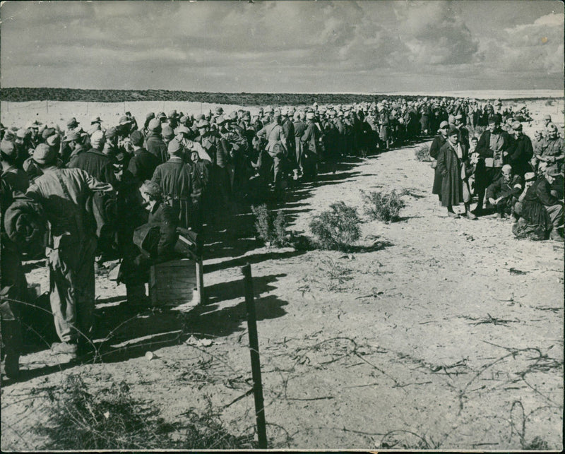 German War Africa. - Vintage Photograph
