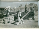 A mountain of sacks of flour from australia is stacked. - Vintage Photograph